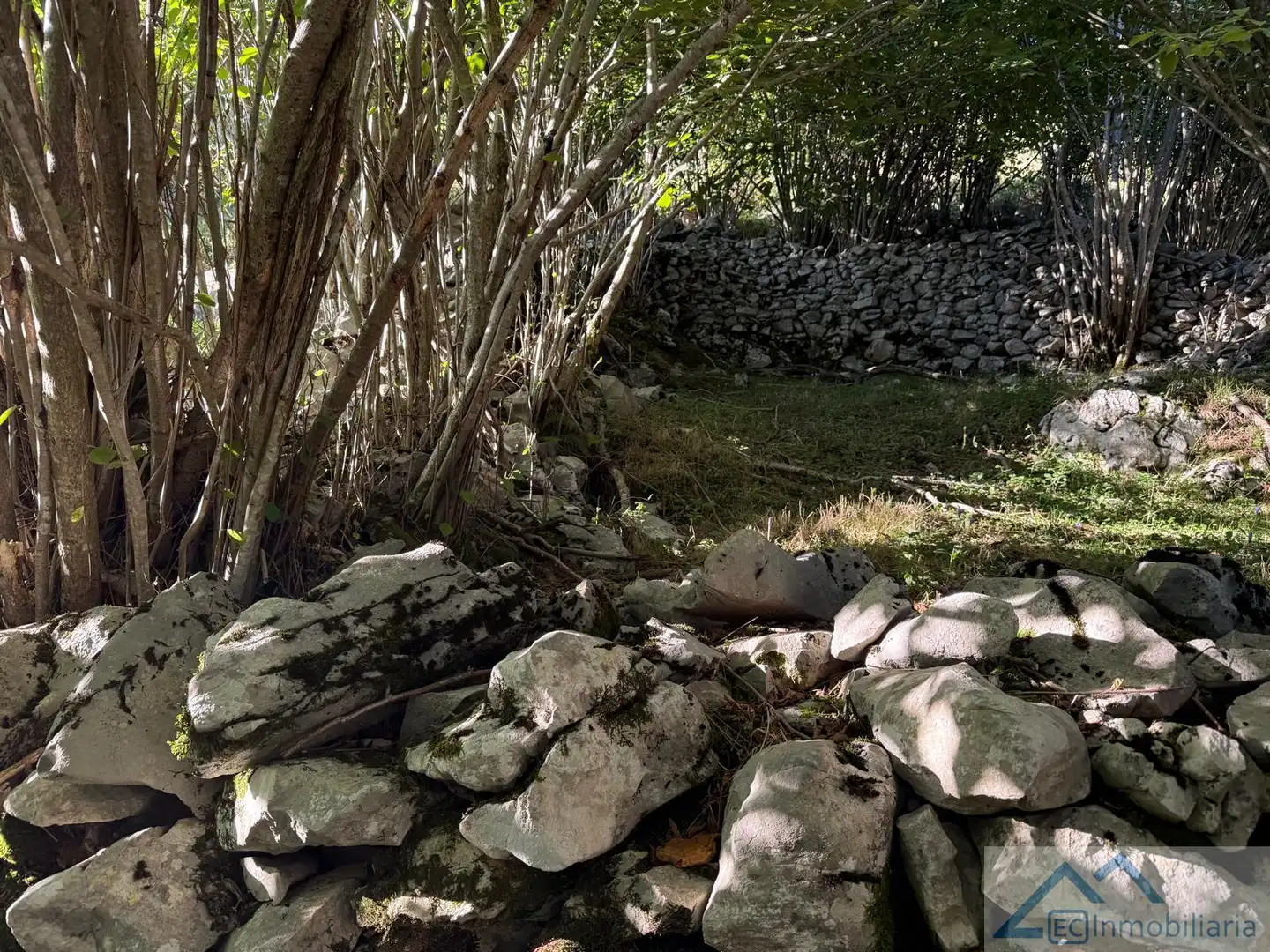 Finca rústica en venta en Ruesga