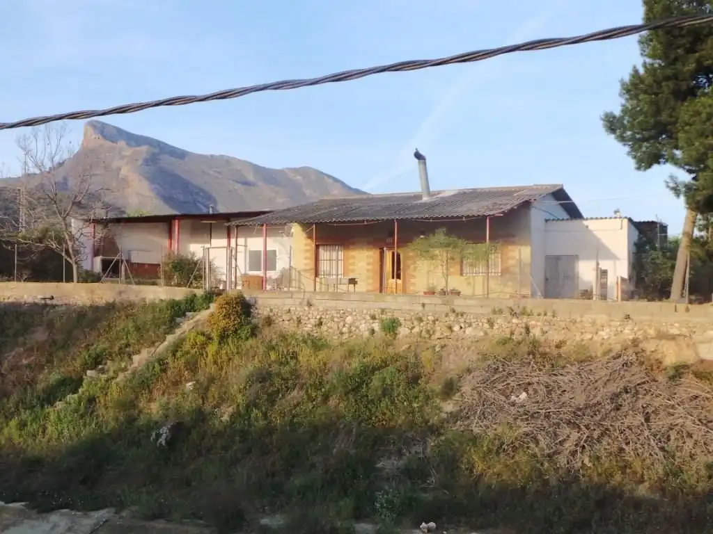 Terreno rustico in vendita a Orihuela ciudad