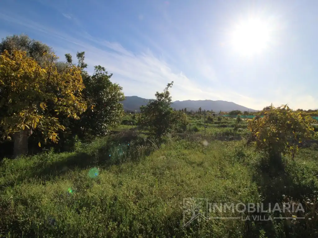 Finca rústica en venda en Alhaurín de la Torre amb Terrassa