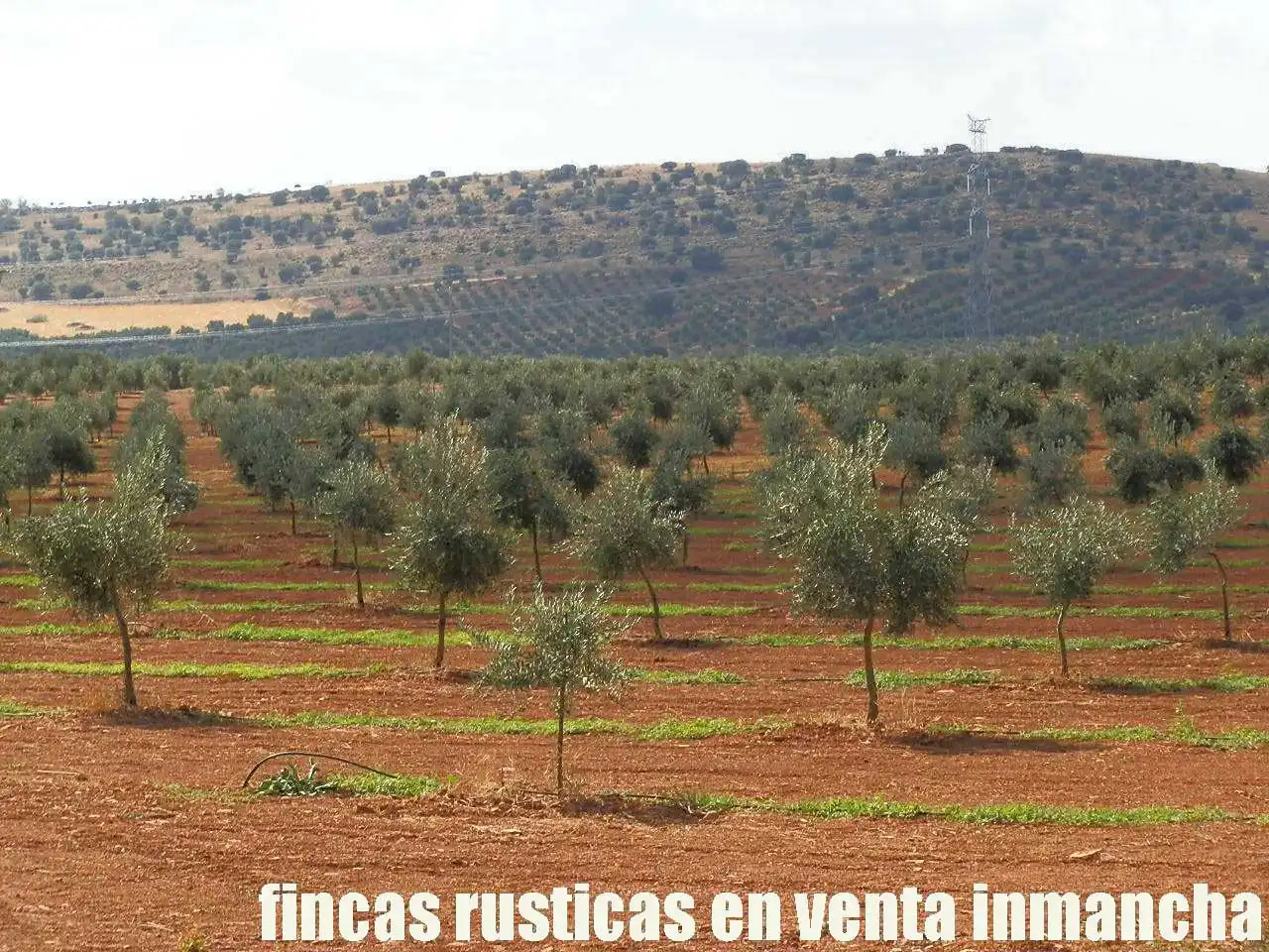 Terreno rústico en venta en Moral de Calatrava, imagen 14