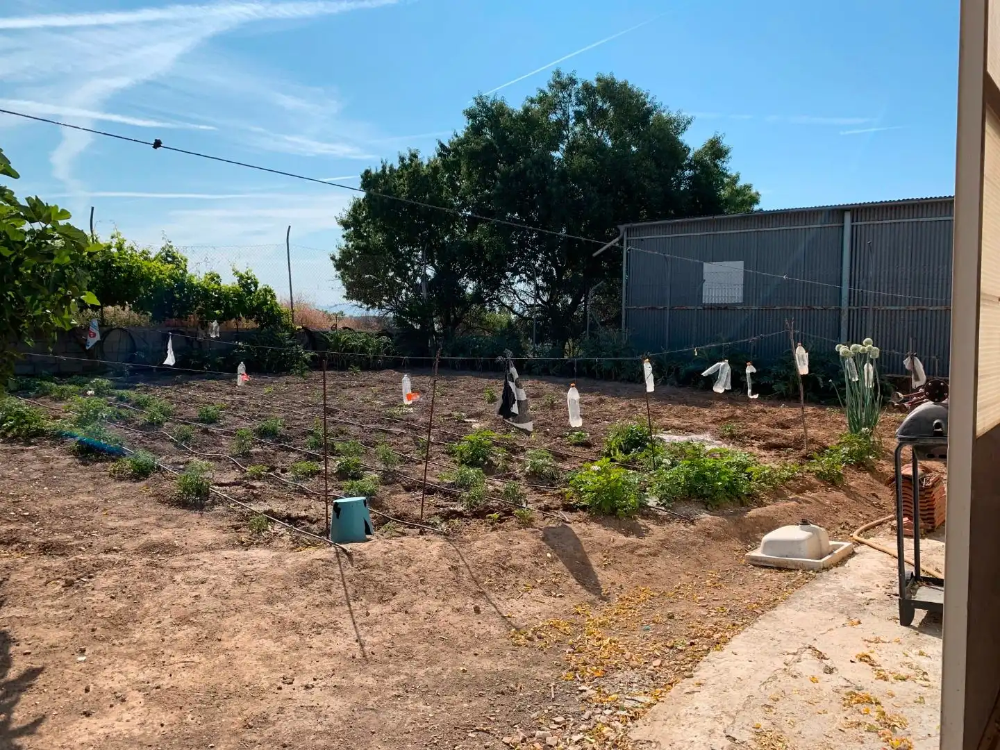 Xalet amb jardí en venda a Torreperogil, imagen 16