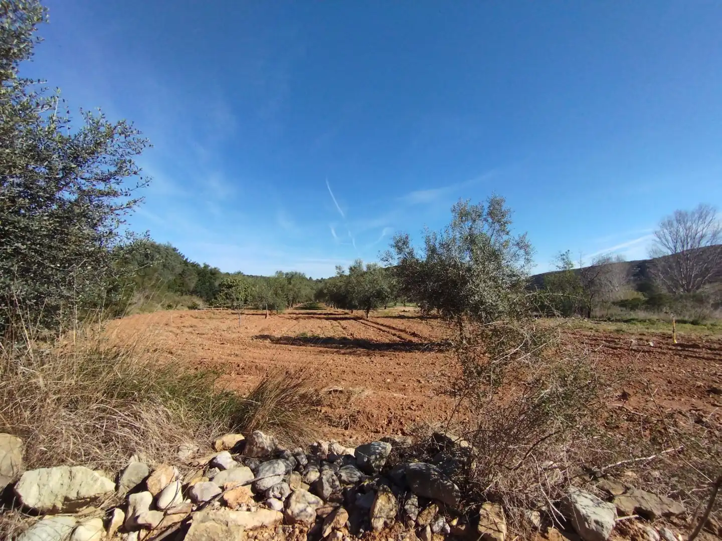 Terreny residencial en venda a RENS, imagen 8