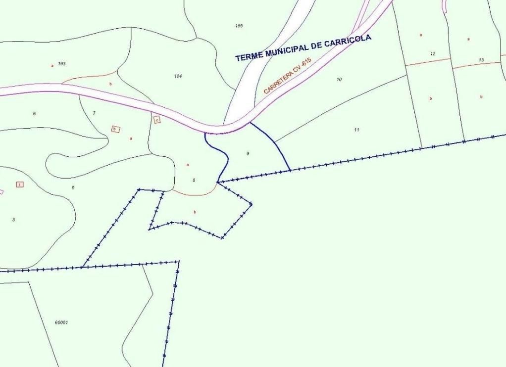 Land for sale in Carrícola