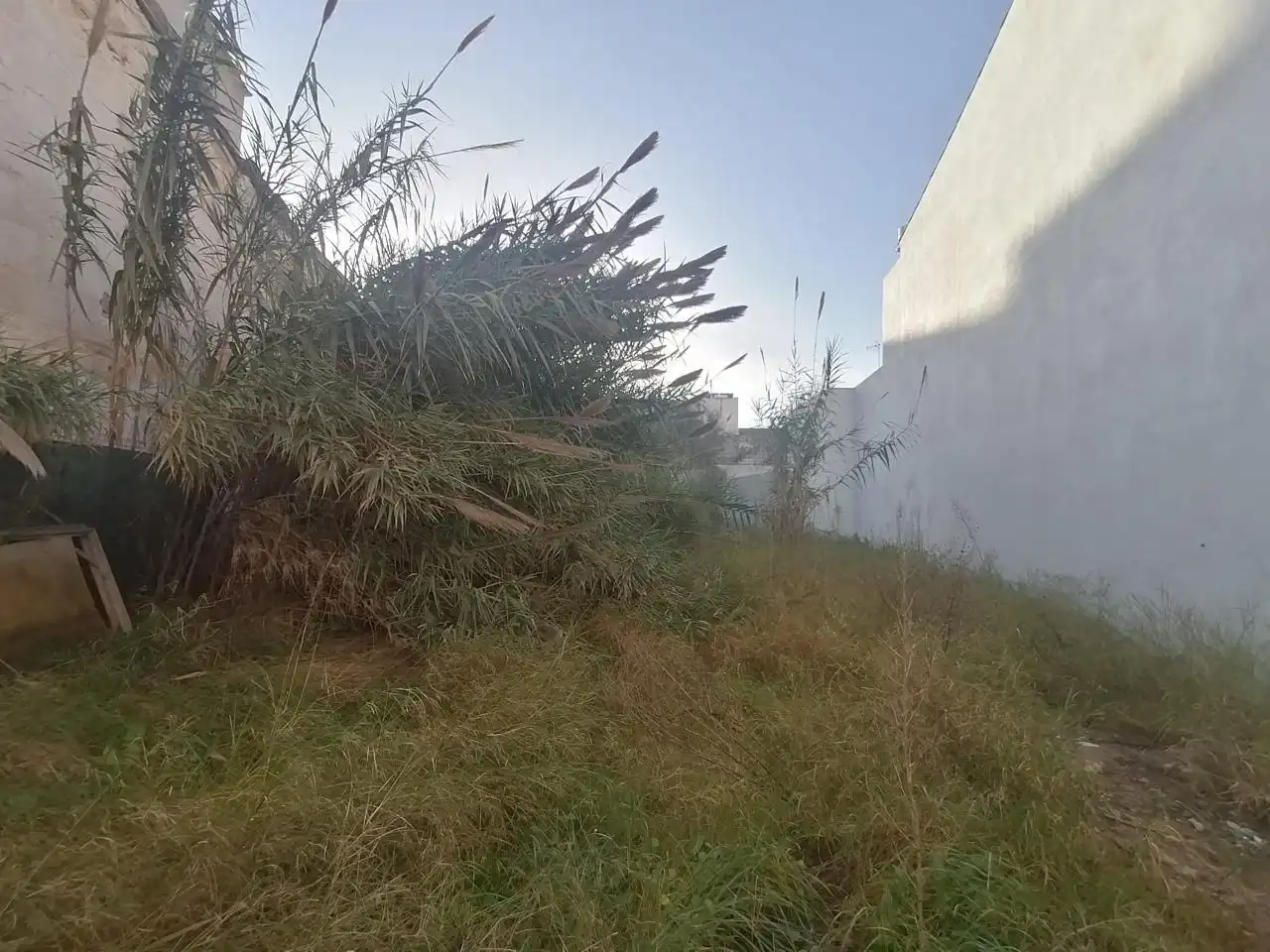 Terreny residencial en venda a Carrer de sa Gerreria, imagen 11