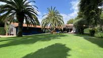 Jardí de Casa o xalet en venda en Sant Vicenç de Montalt amb Aire condicionat, Calefacció i Jardí privat