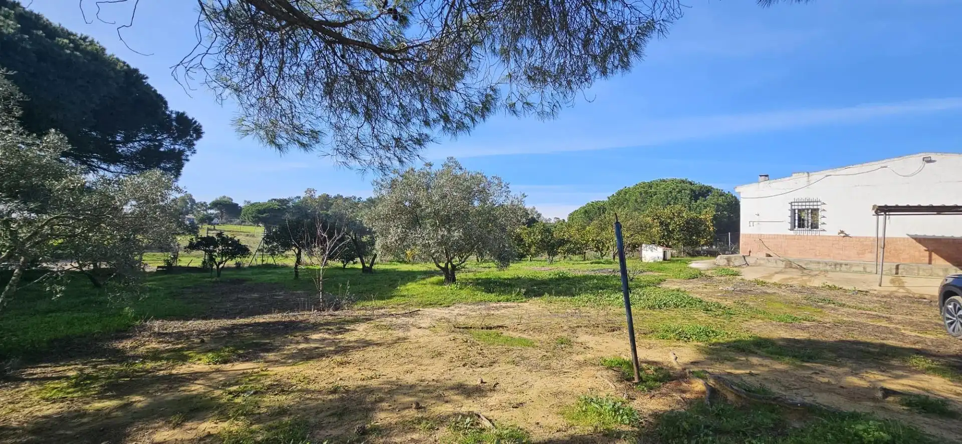 Casa rústica en venta en Gibraleón, imagen 5