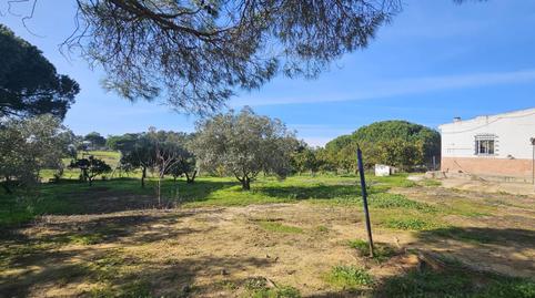 Foto 5 de Finca rústica en venta en Gibraleón, Huelva
