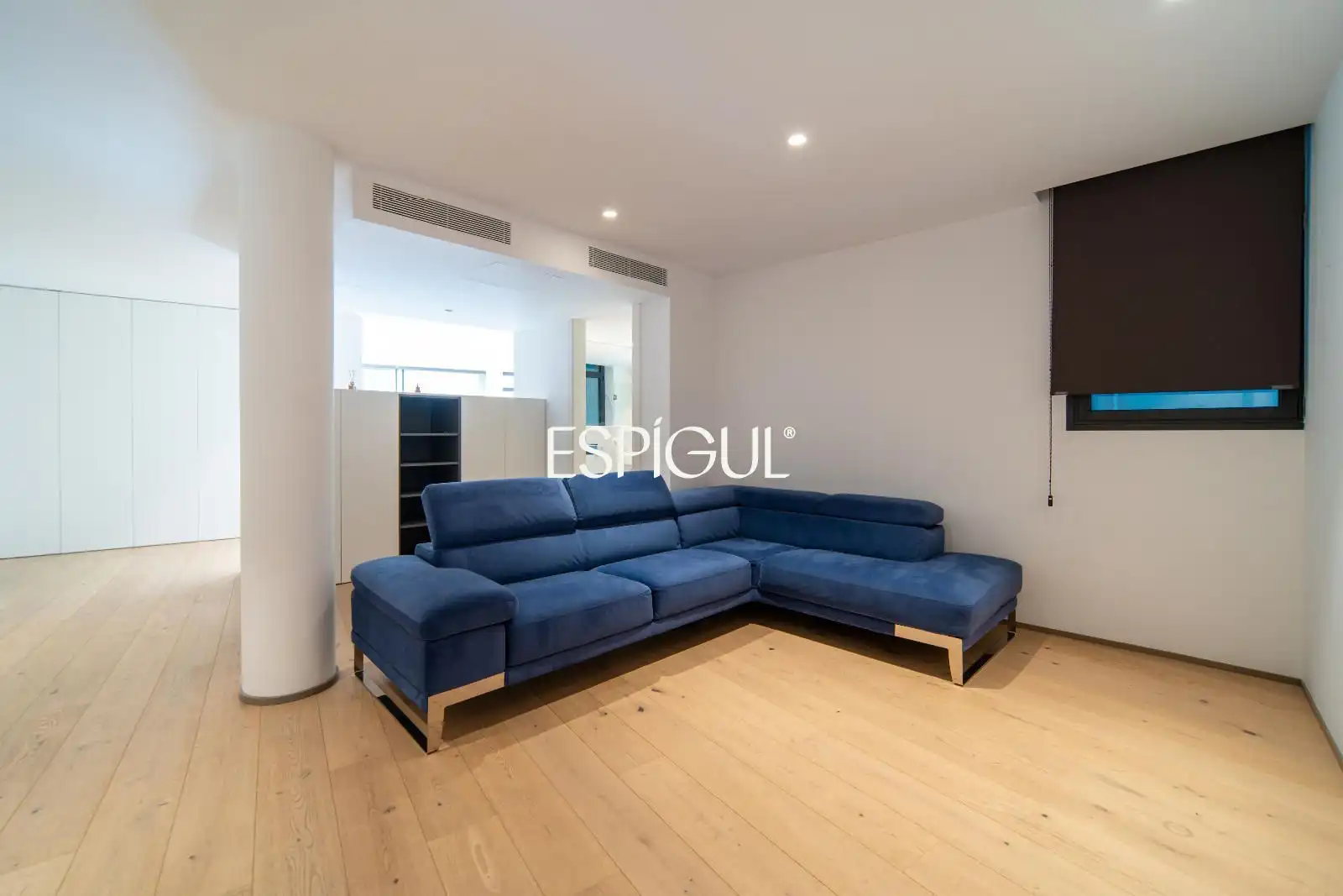 Sala d'estar de Pis en venda en Girona amb Aire condicionat, Calefacció i Parquet