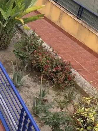 Jardín de Ático en venta en Málaga con Piscina comunitaria