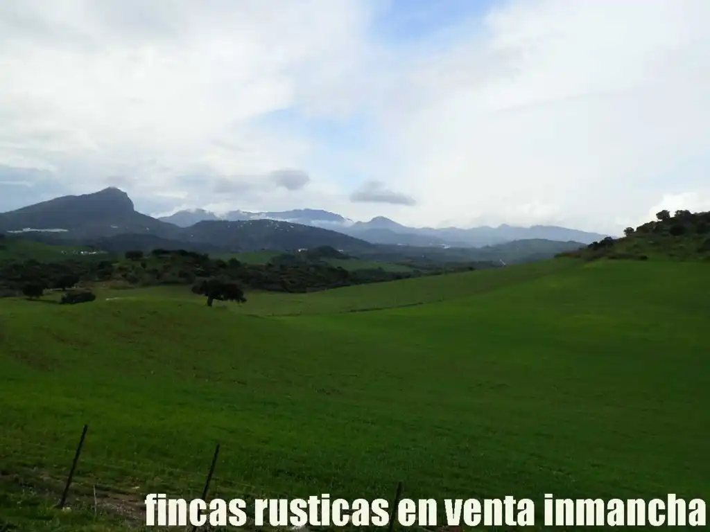Terreno rustico in vendita a Algodonales, imagen 3