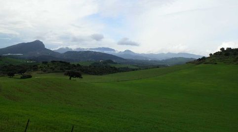 finca en venta 380 has. ganadera labor en Algodonales (Cadiz), immagine 3