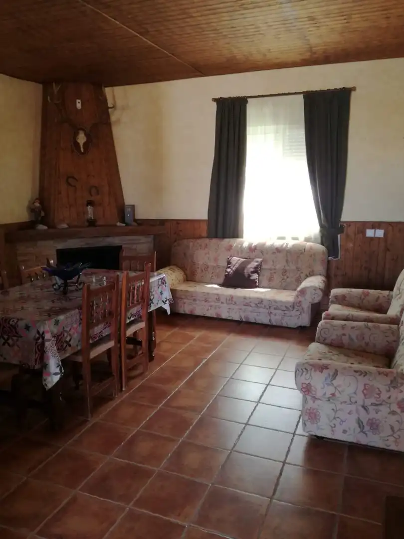 Sala d'estar de Casa o xalet en venda en Espera amb Terrassa