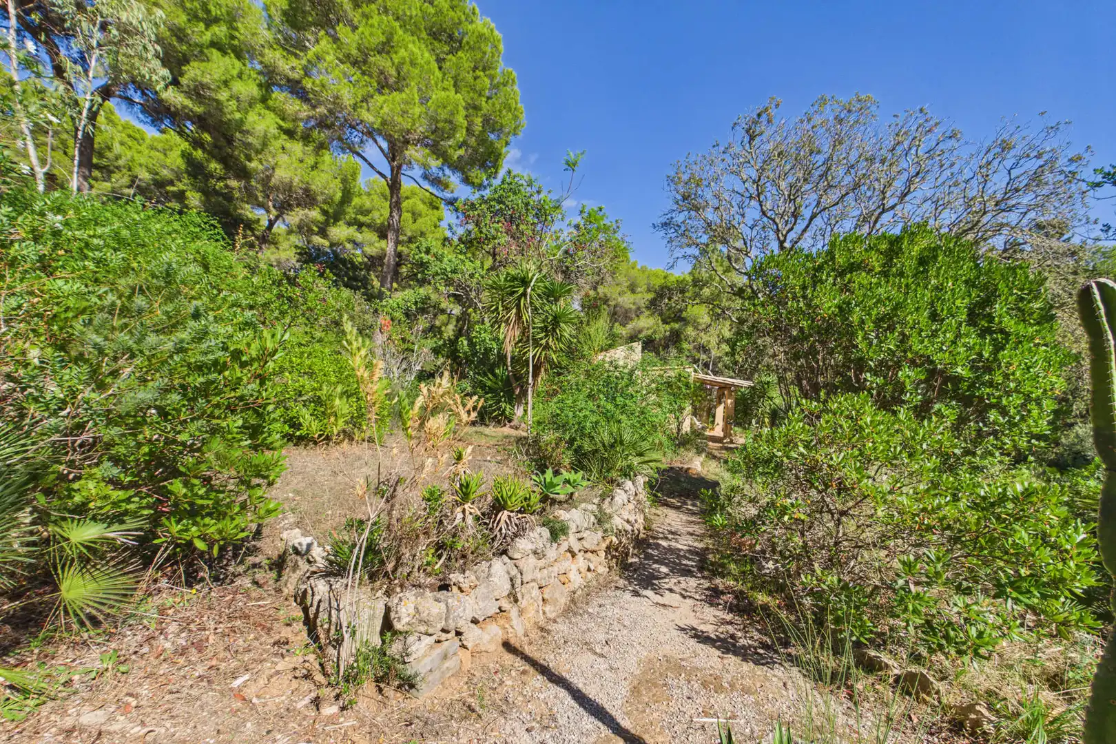 Jardín de Finca rústica en venta en Cala Ratjada