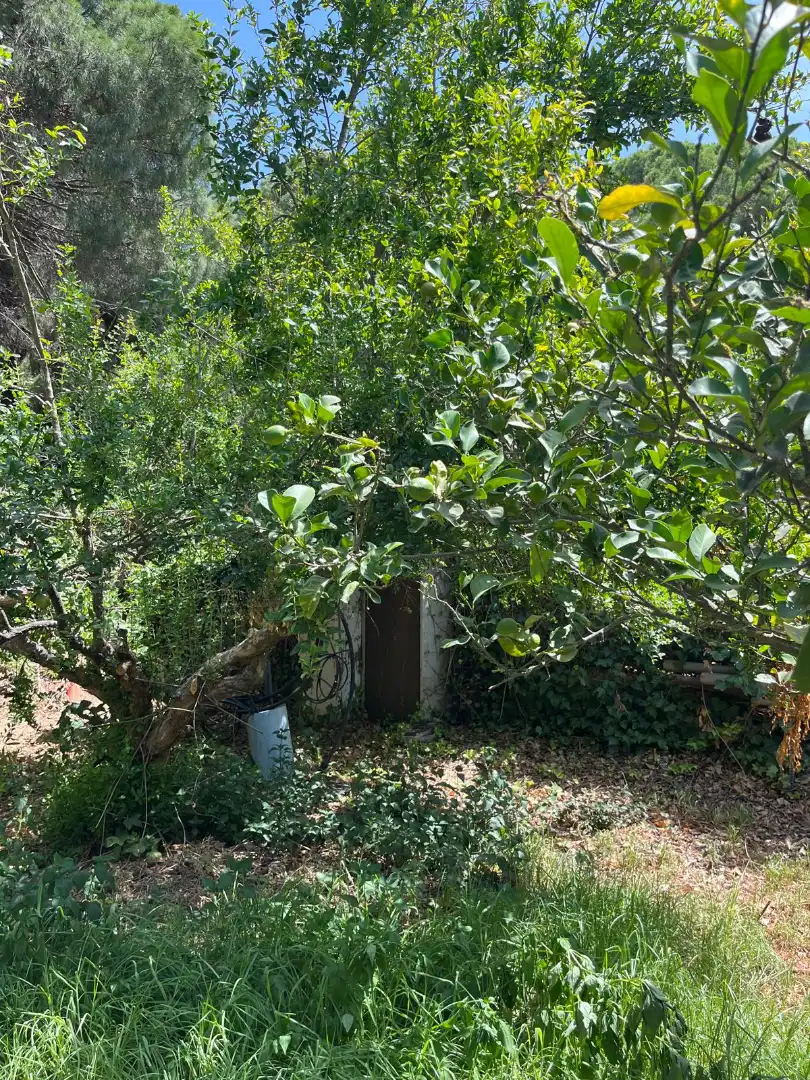 Land for sale in El Puerto de Santa María