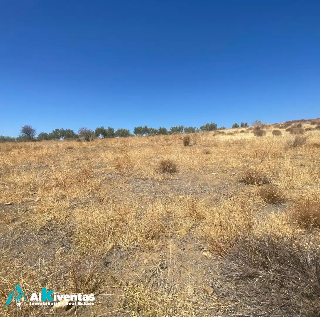 Terrains et parcelles à vendre à Carretera Antequera, imagen 5