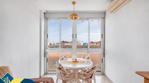 Apartamento con terraza, en la provincia de Alicante, en la ciudad de Torrevieja, en el barrio de La Mata. 1 habitación | 50 m² |, imatge 4