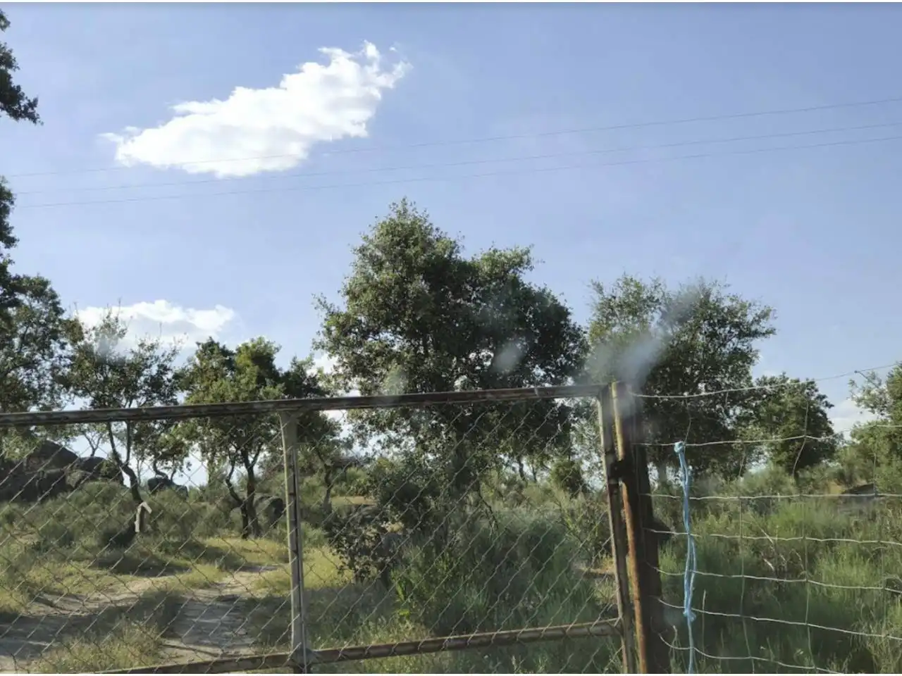 Terreni e lotti in vendita a Carretera San Vicente, imagen 6