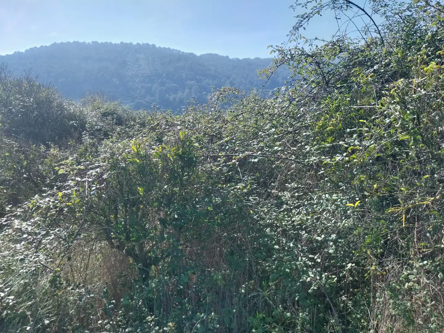 Rural land for sale in Plaça Poligono 03, imagen 3