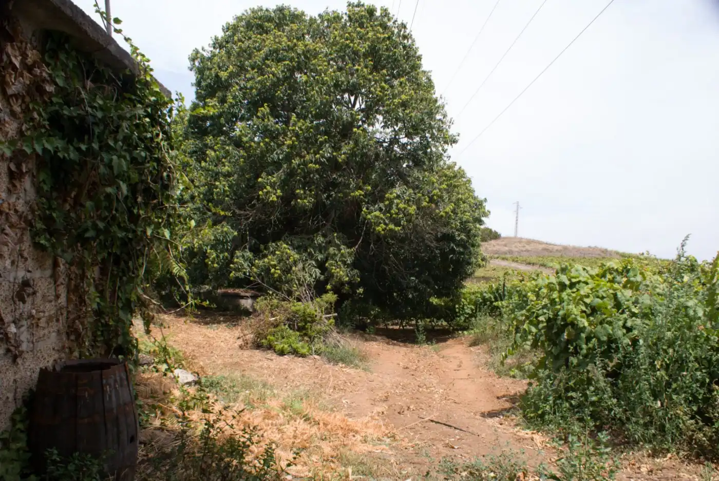 Terreny en venda en El Sauzal