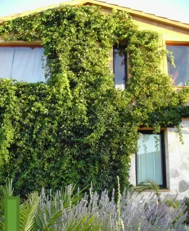 Jardín de Casa o chalet en venta en Calera de León con Jardín privado, Terraza y Amueblado