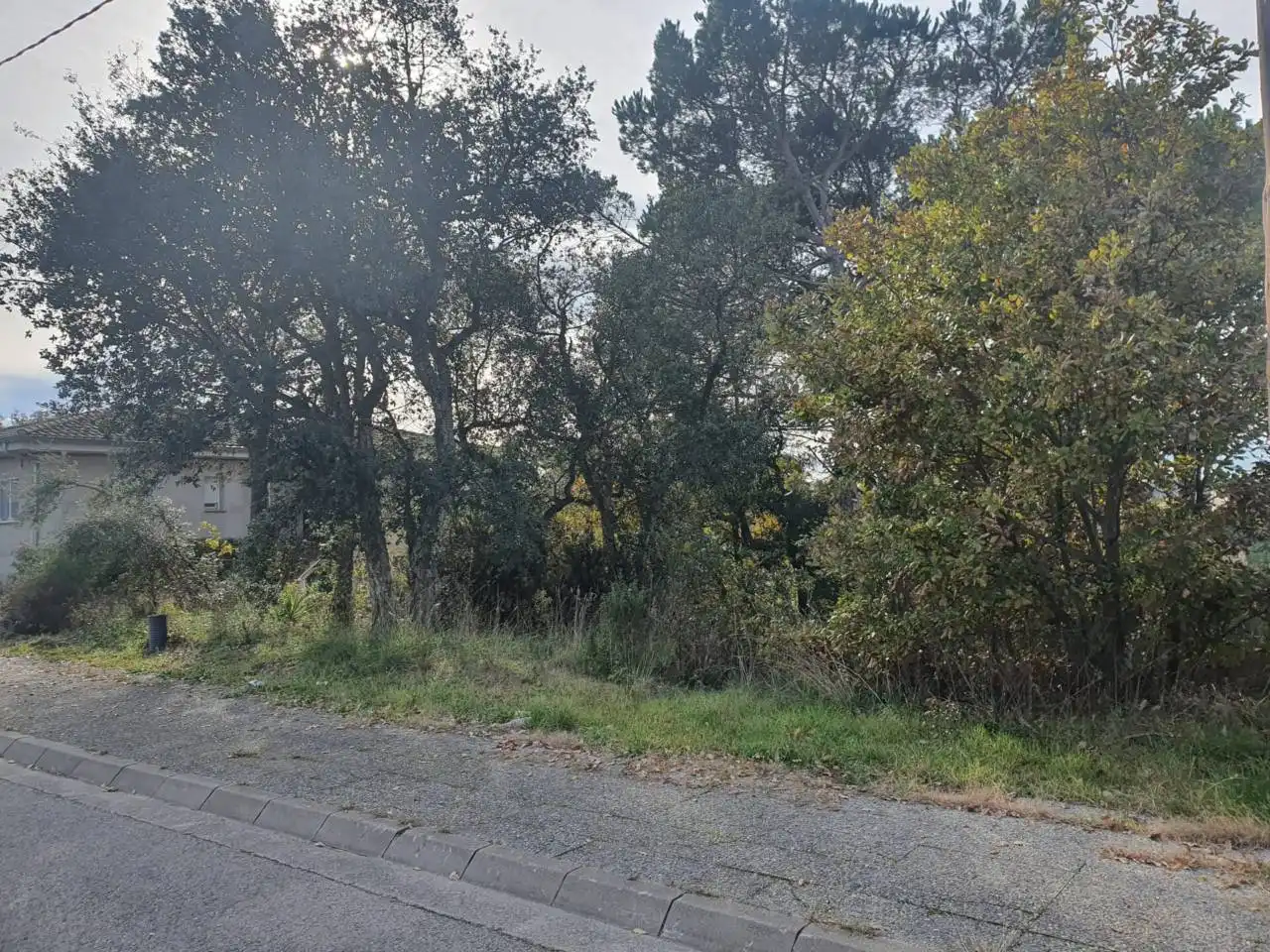 Terreny rústic en venda a Calle PLA DEL ESTANY, imagen 3