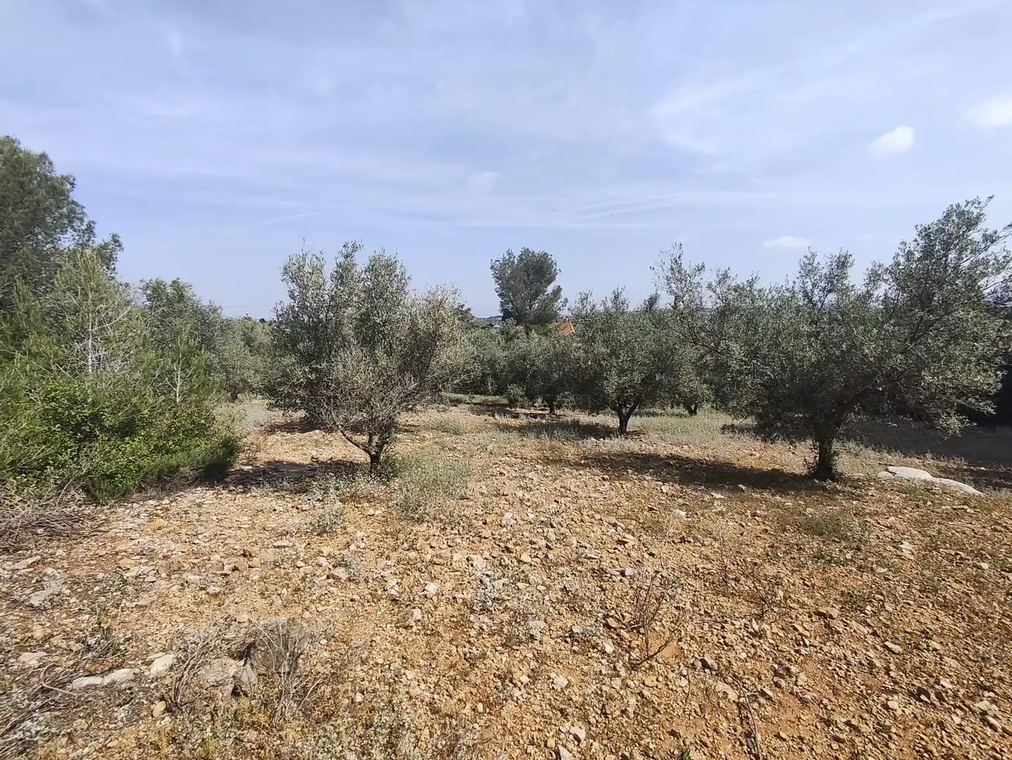 Houses for sale in Turís  with Private garden, Terrace and Storage room