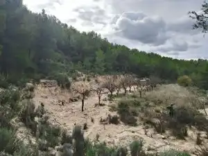 Terreno rustico in vendita a Carrer la Torreta, imagen 5