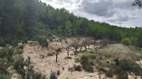Oportunidad para iniciativas de NATURALEZA, OCIO Y TURISMO SOSTENIBLE, immagine 5