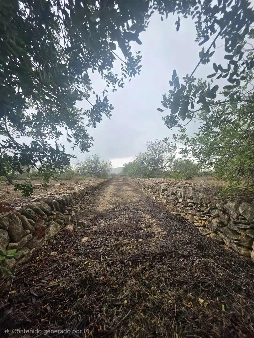 Terreny rústic en venda a Les Tres Cales, imagen 3