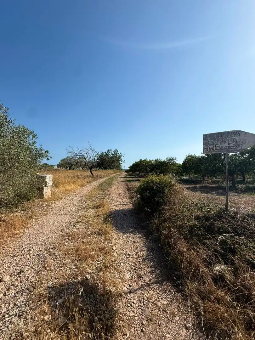 Terreno rustico in vendita a Partidas de interior - Zona Rústica, imagen 28