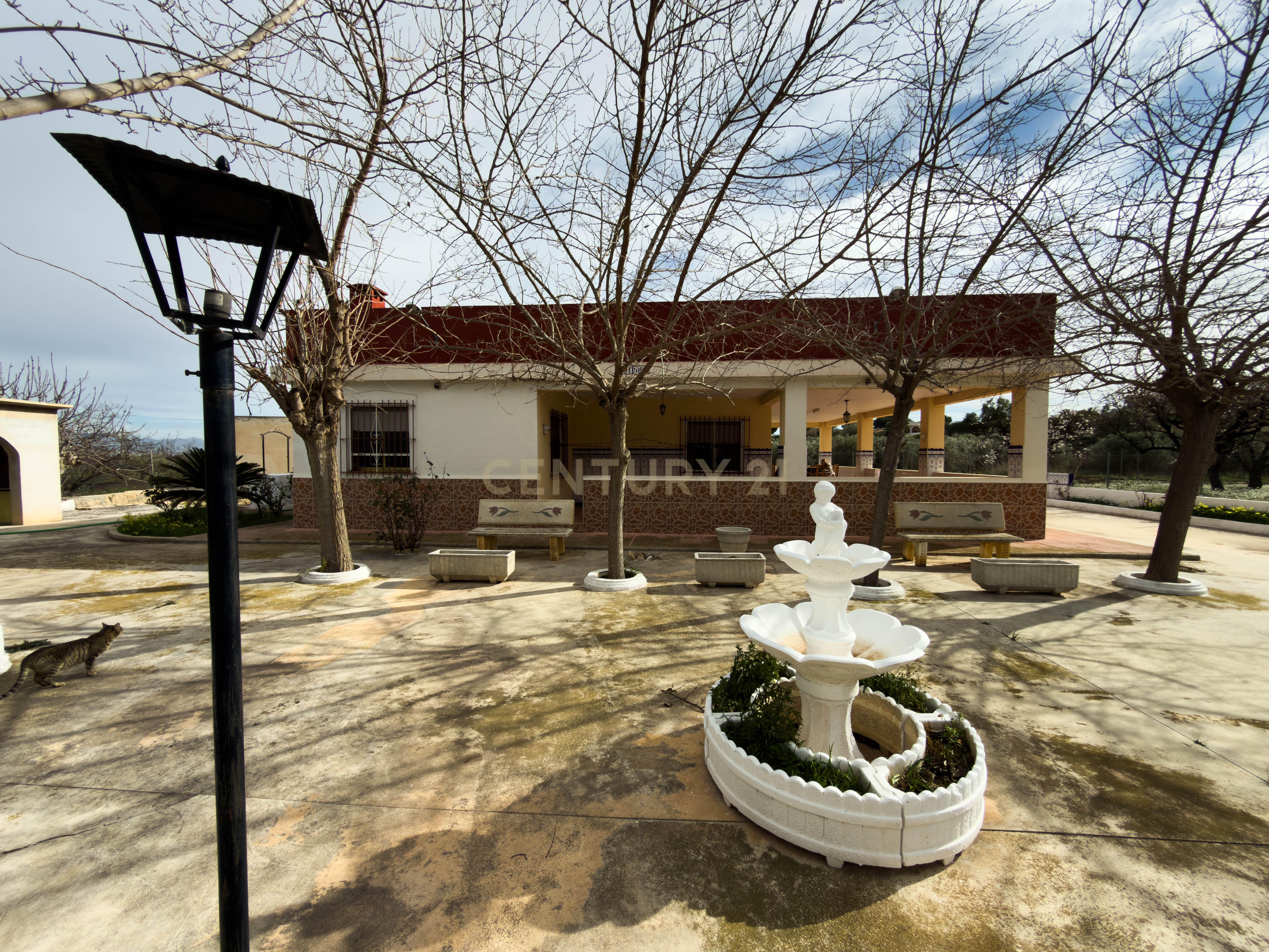 Vista exterior de Terreno en venta en Aspe