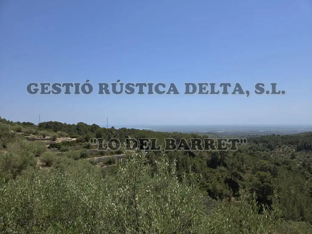Exterior view of Country homes for sale in Tortosa  with Terrace