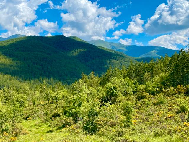 Terreno residencial en Venta en N/A en Villanúa