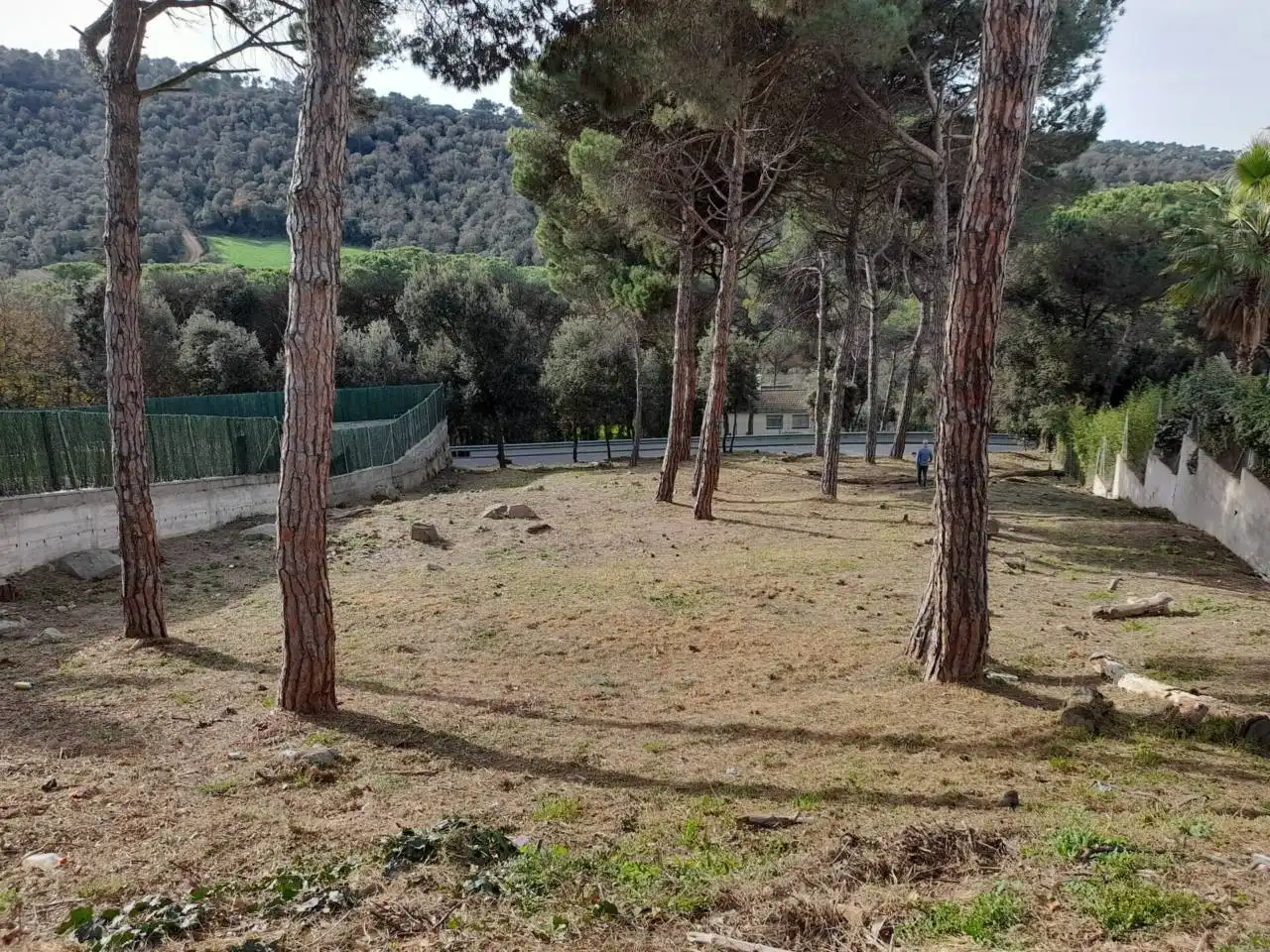 Terreny residencial en venda a Calle Nostra senyora del coll 129, imagen 22