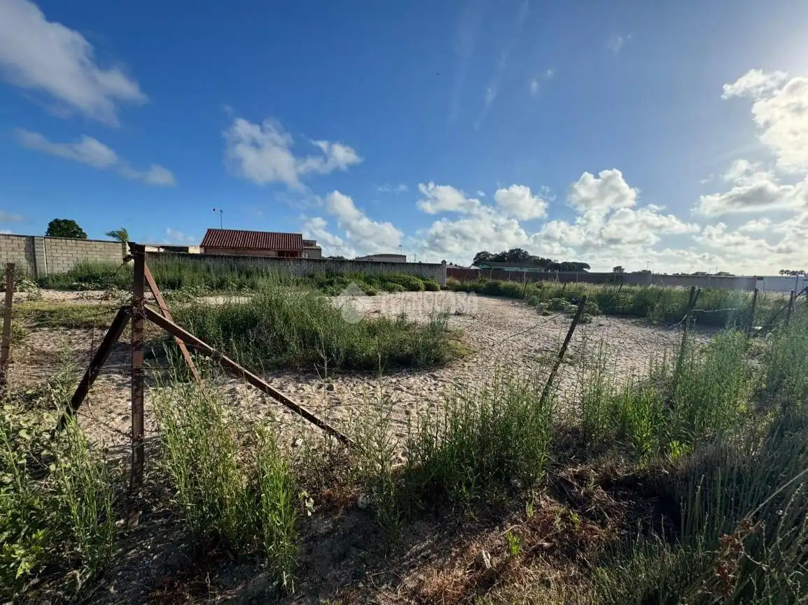 Rural land for sale in Ctra Sanlúcar - Cuatro Pinos, imagen 6