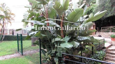 Photo 5 of Flat for sale in Añoreta Baja, Málaga