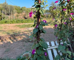 Garden of Land for sale in Castellar del Vallès