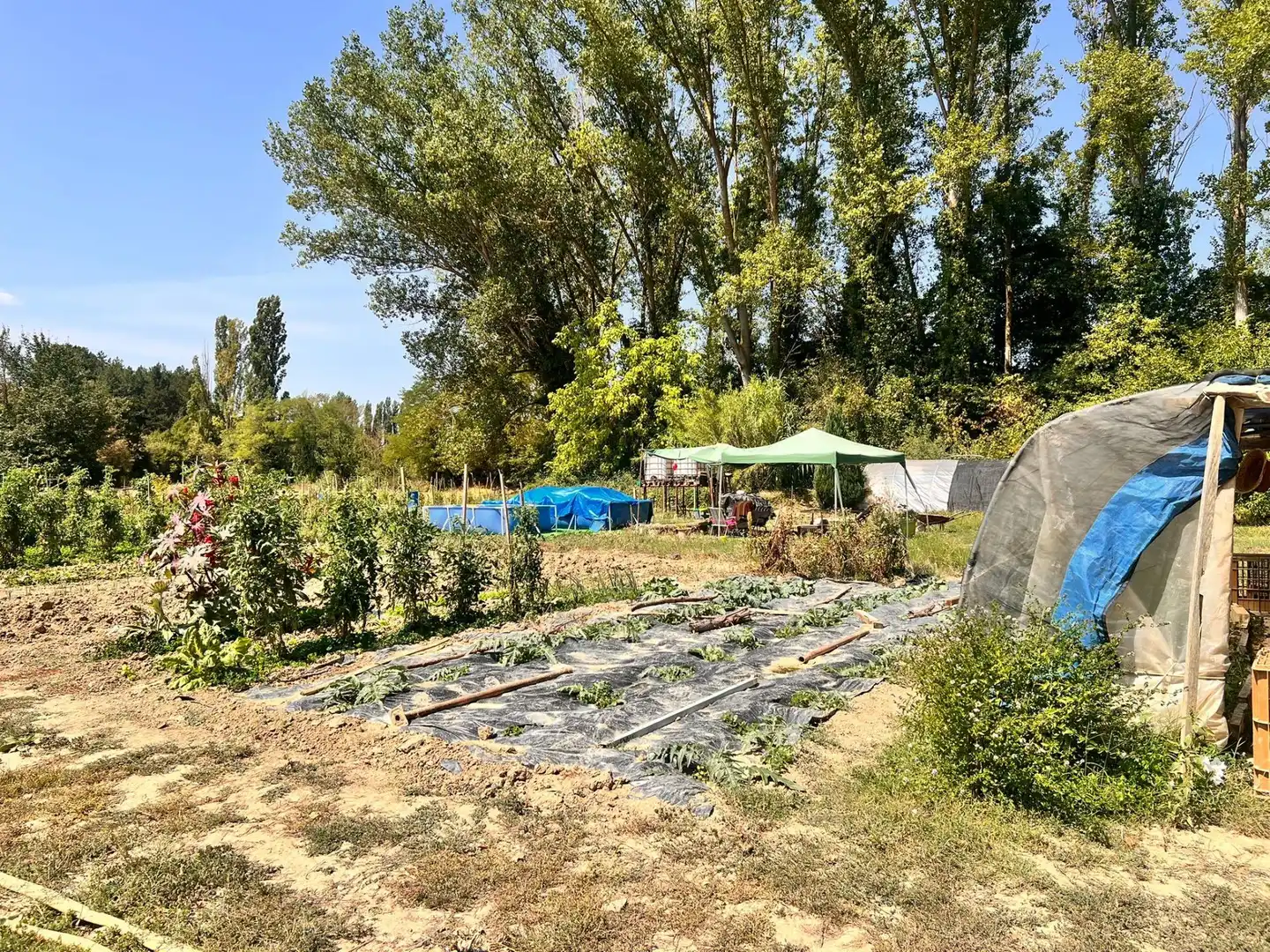 Terreno rústico en venta en Urroz-Villa, imagen 7