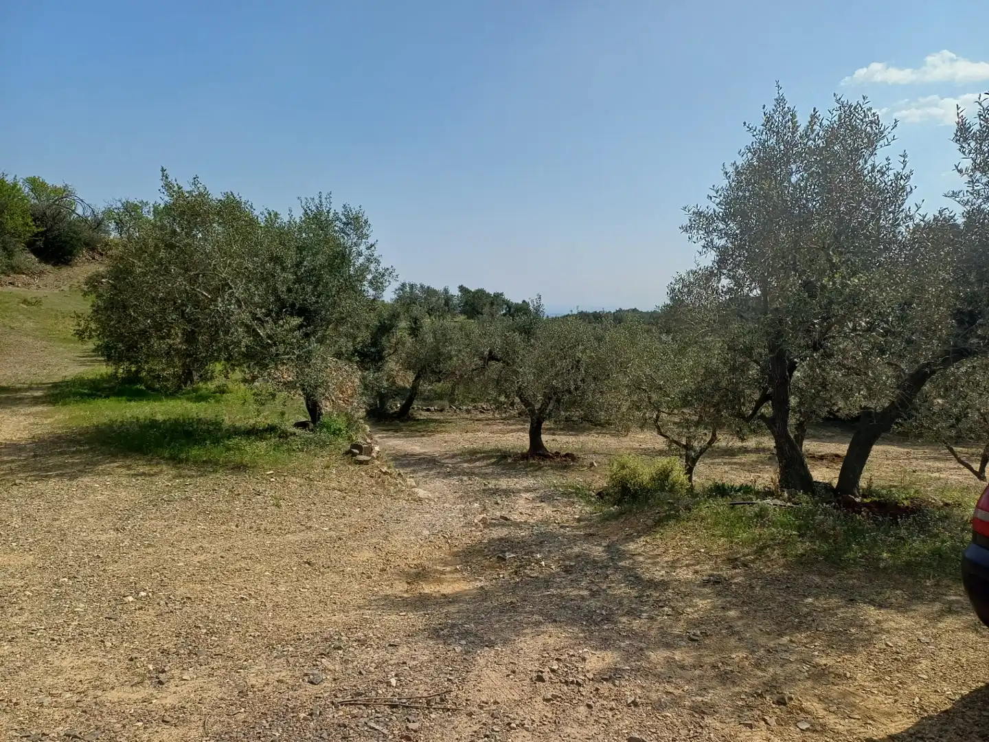Terreno rustico in vendita a Riudecanyes, imagen 15
