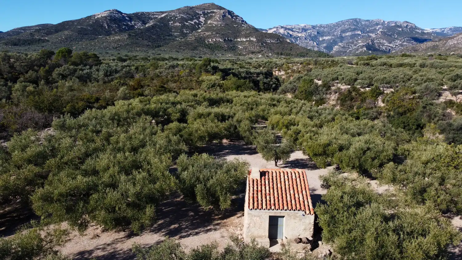 Terreno en venta en Mas de Barberans