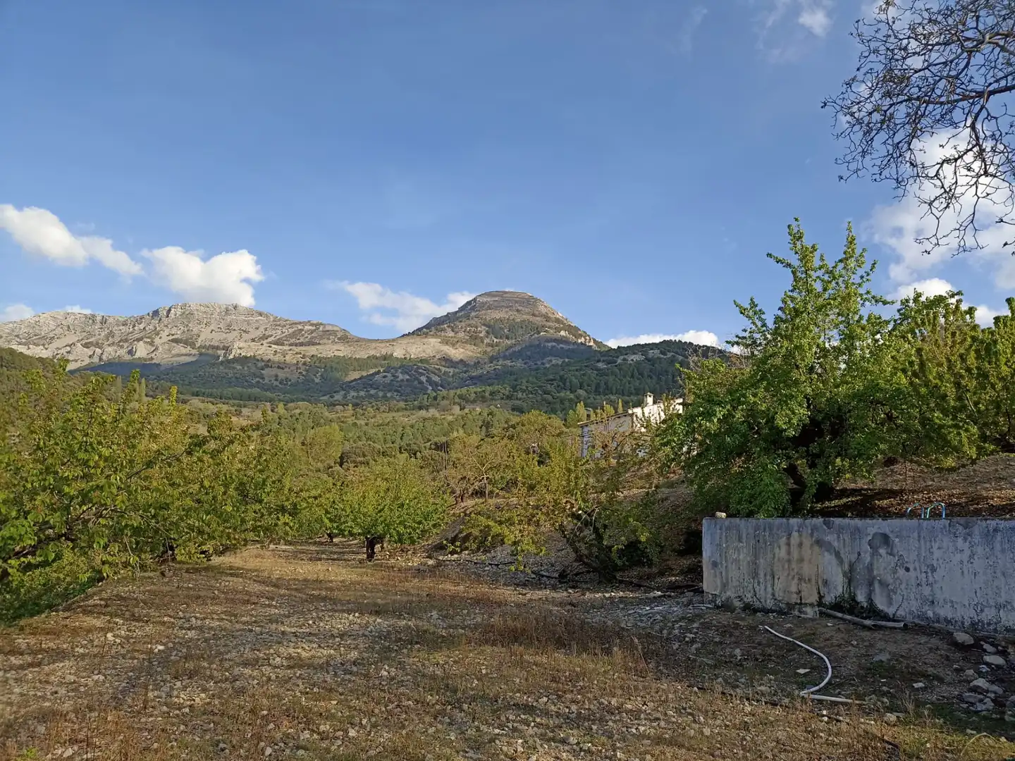 Land for sale in Torres