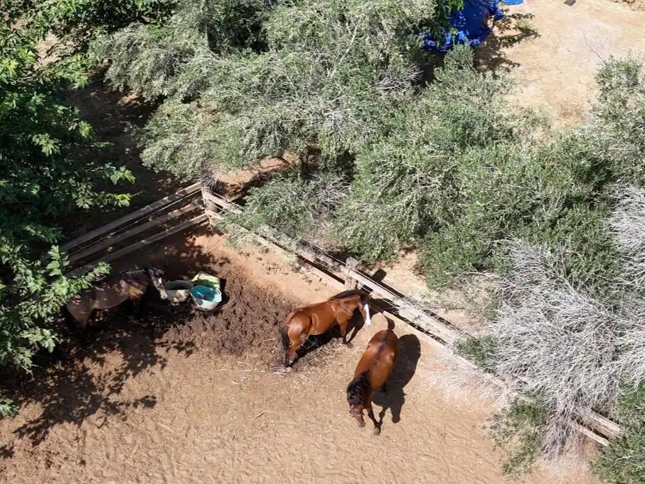 Vista exterior de Finca rústica en venda en Rafelguaraf amb Aire condicionat, Calefacció i Jardí privat