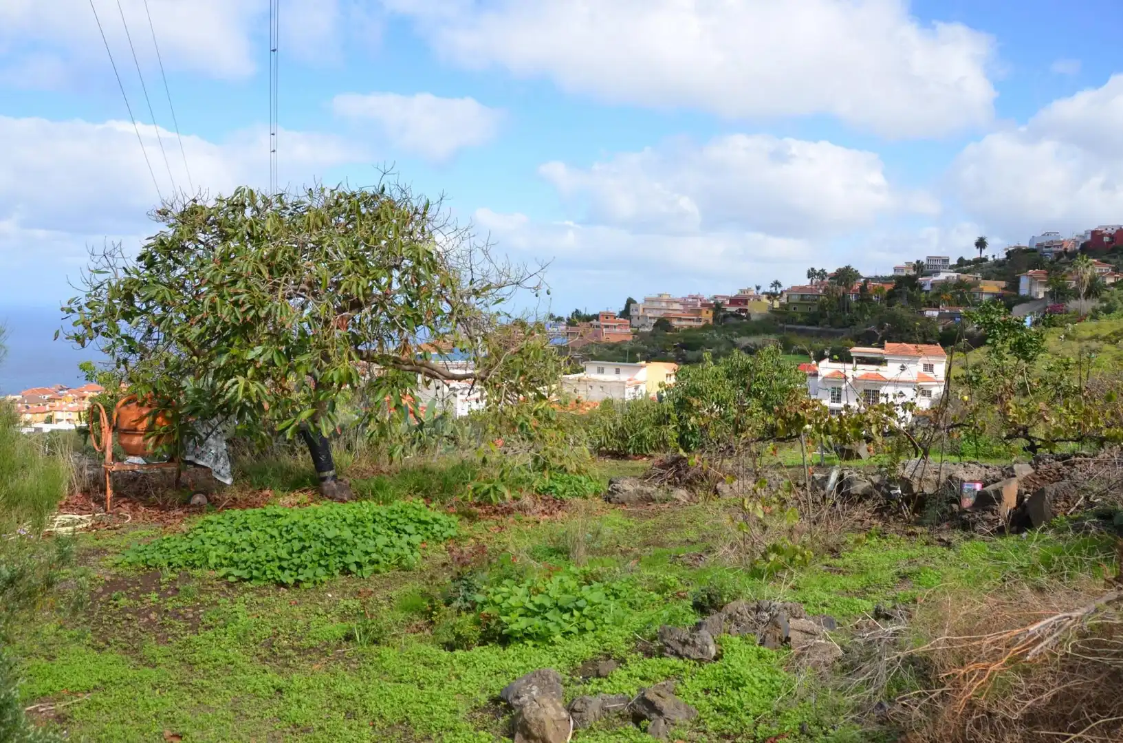 Casa o chalet en venta en Santa Úrsula con Jardín privado, Terraza y Trastero