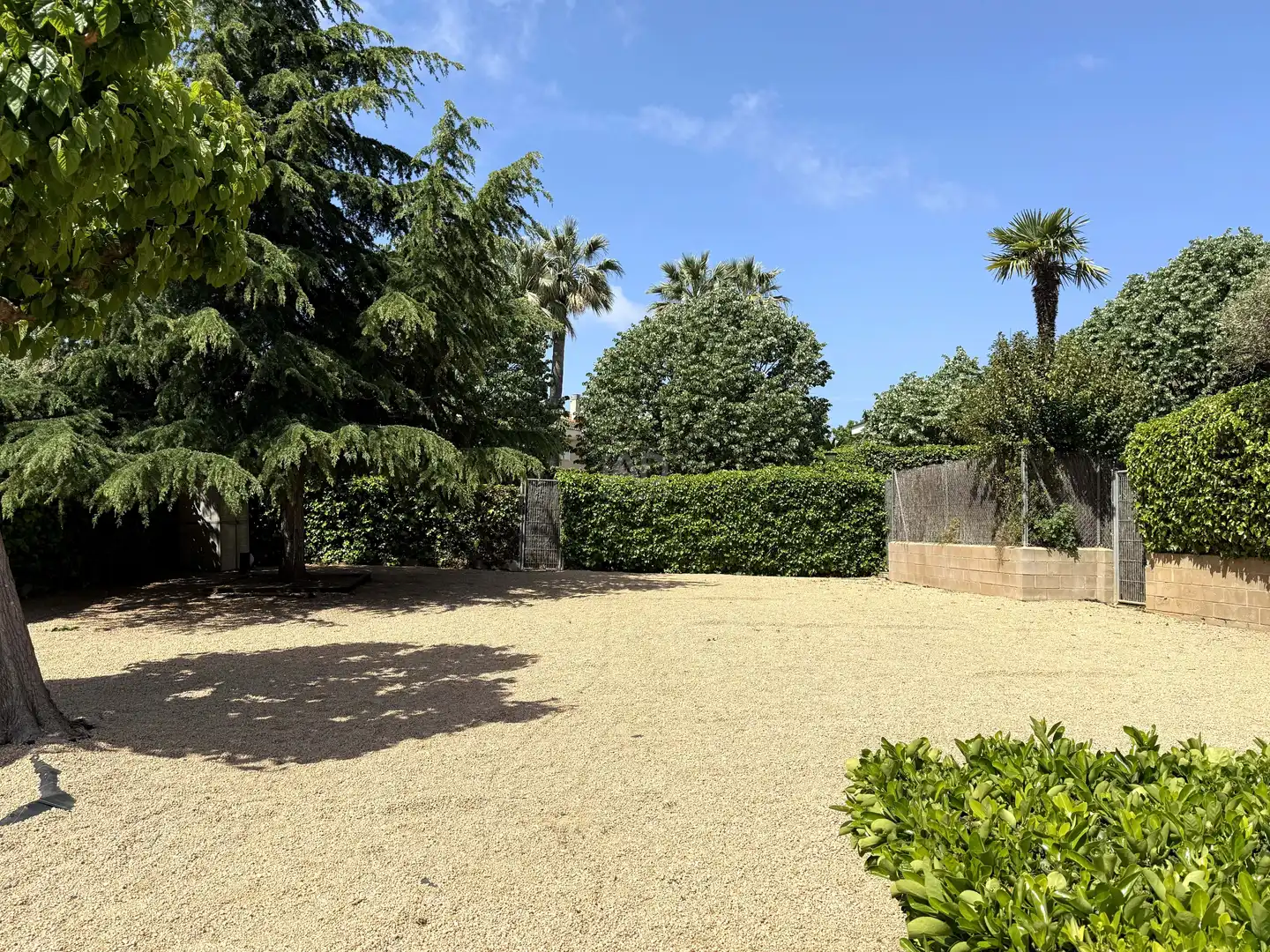 Jardí de Casa o xalet en venda en Sant Andreu de Llavaneres amb Aire condicionat, Calefacció i Terrassa