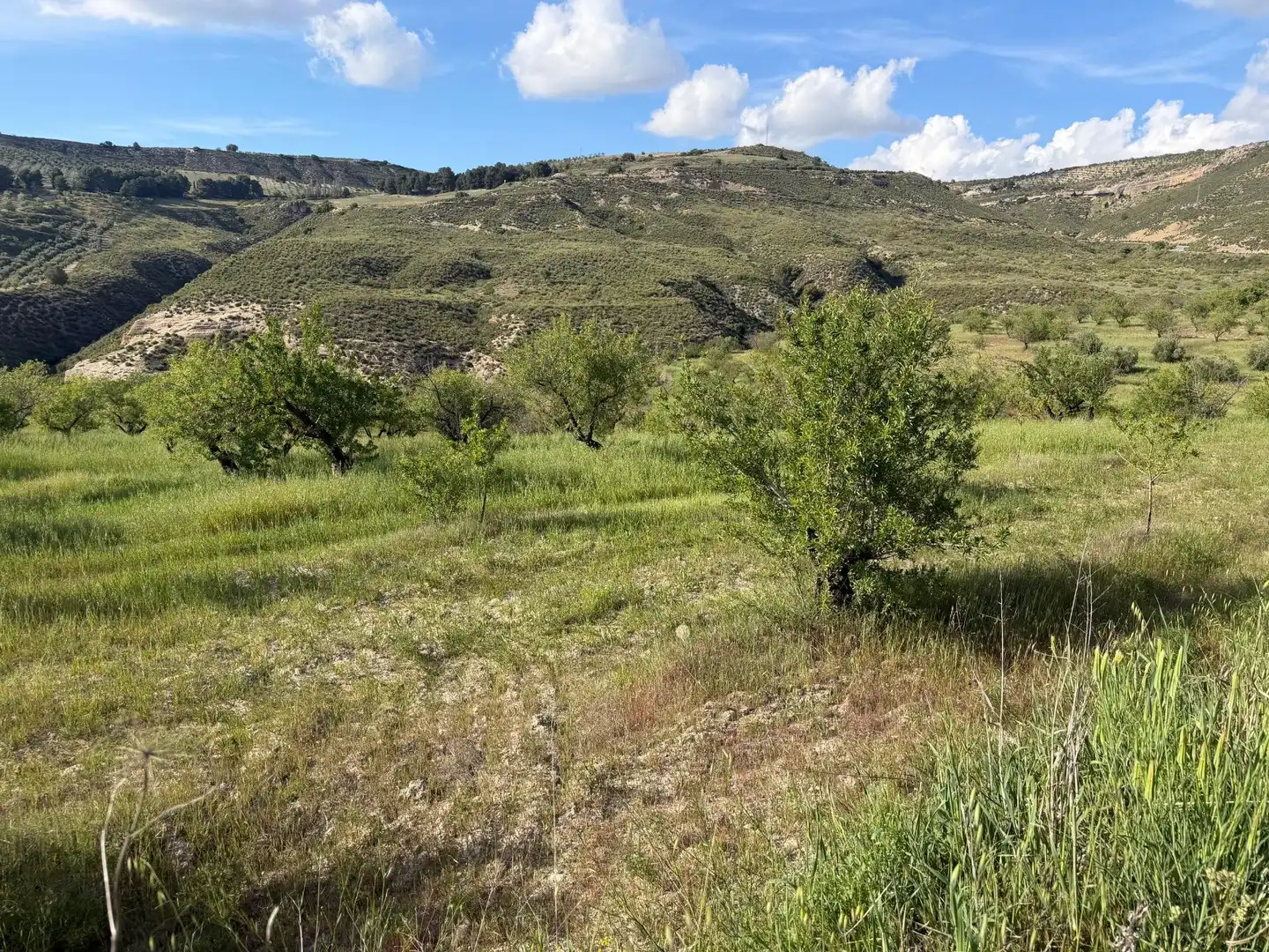 Rural land for sale in Lugar Poligono 7 Parcela 55, imagen 2