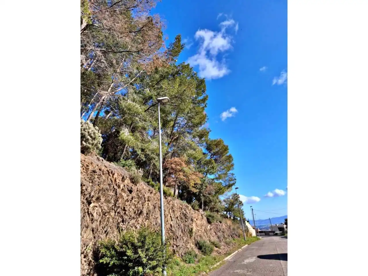 Rural land for sale in Calle Llosa, imagen 23