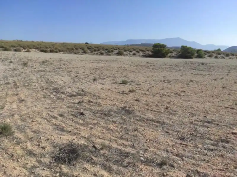 Land for sale in Cieza