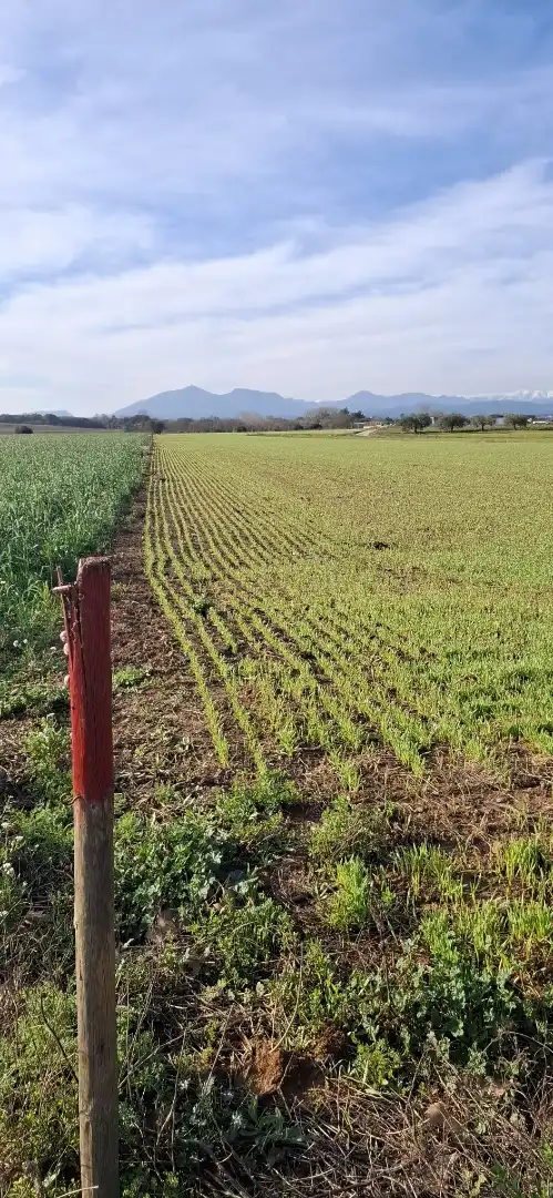Terreno en venta en Vilafant