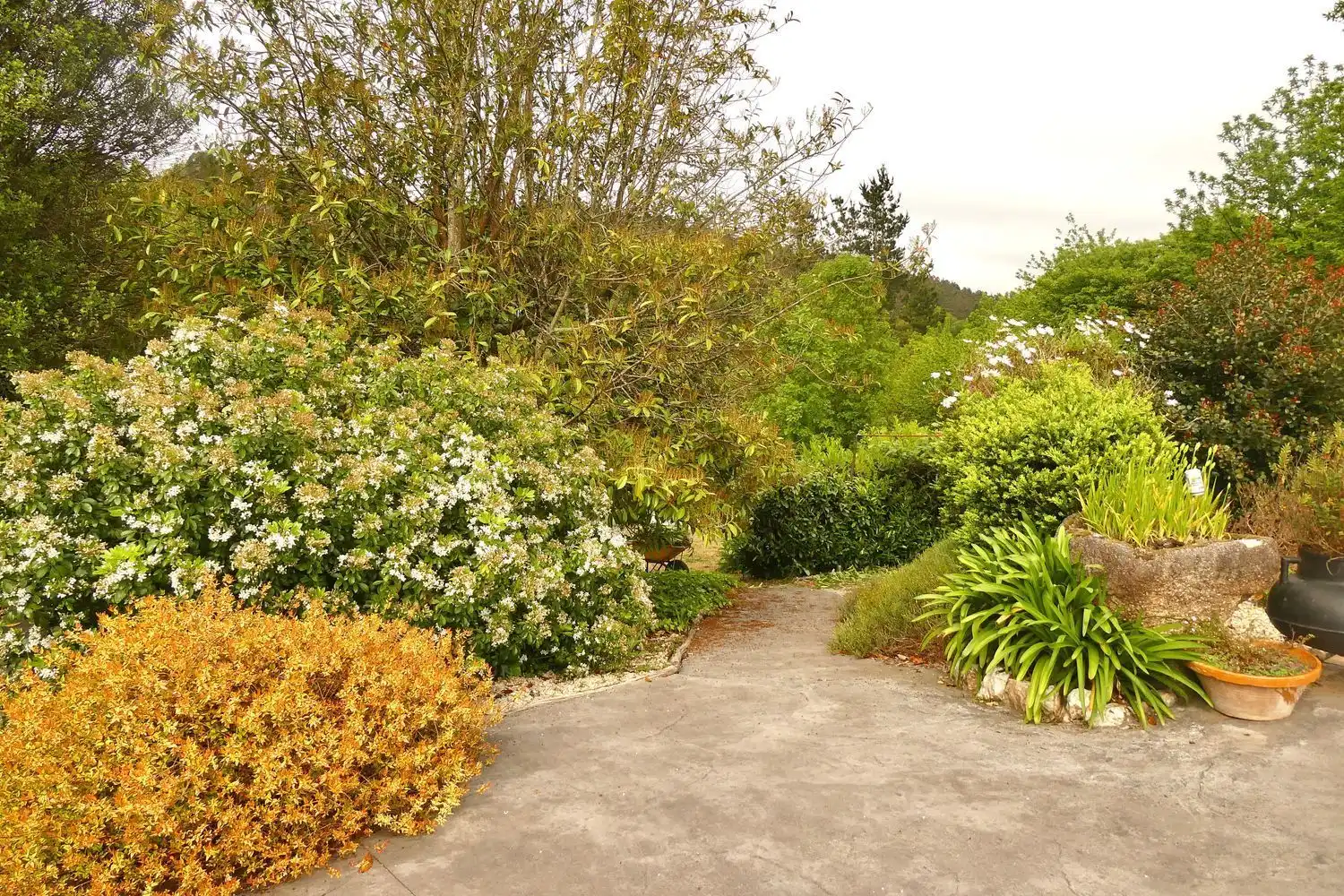 Villa avec jardin à vendre à ferreira, imagen 37