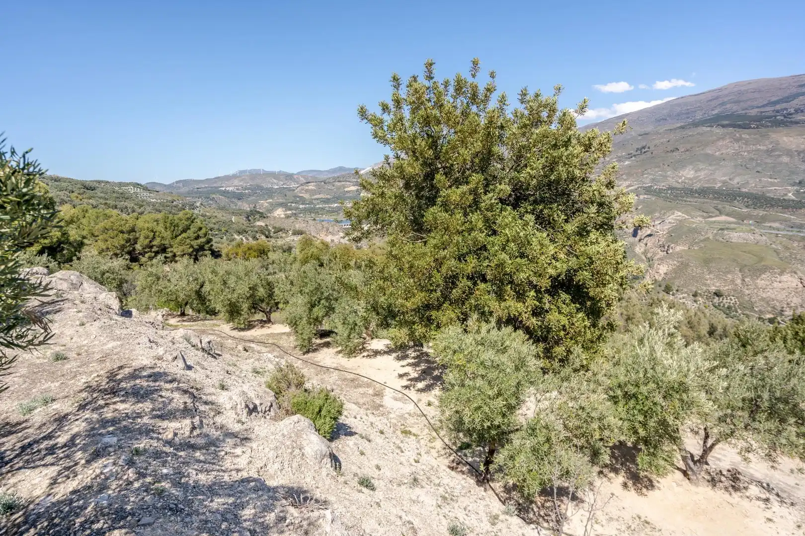 Land for sale in El Pinar